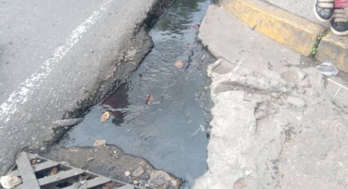 Trayecto del Paseo Bolívar culmina con fetidez por aguas servidas