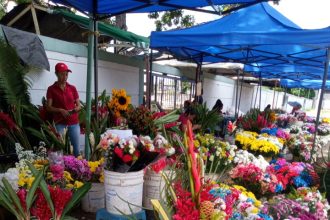 En el cementerio nuevo han bajado las ventas