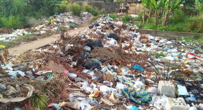 Calles de Maturín adornadas de huecos y basura