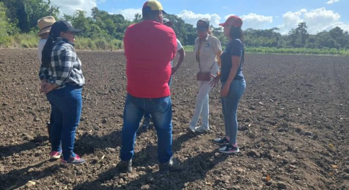 Comisión de Economía productiva del Psuv Monagas realiza inducción para técnicos del campo