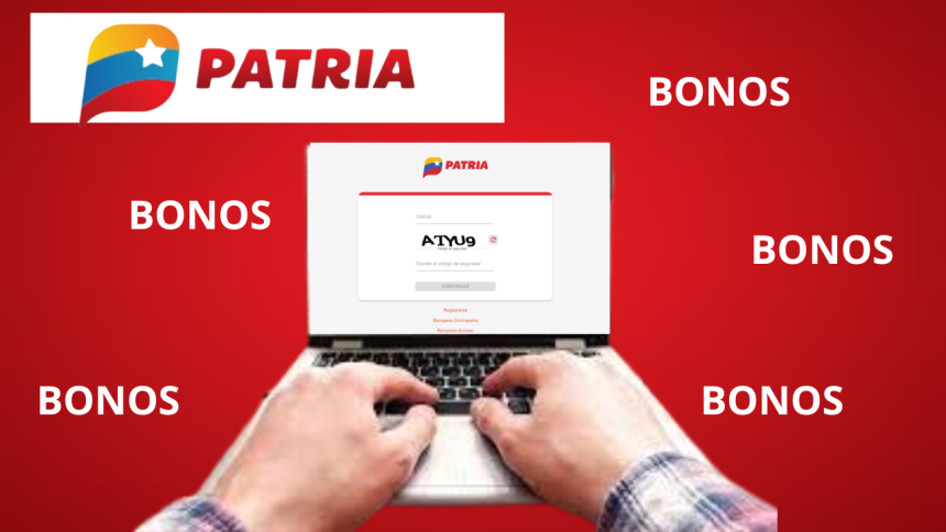 Bonos asignados