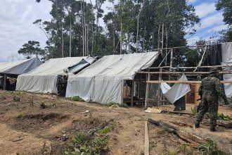 FANB destruye pista clandestina y cinco estructuras logísticas