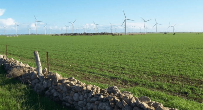 Fedeagro propone un plan de reforestación para enfrentar los cambios climáticos