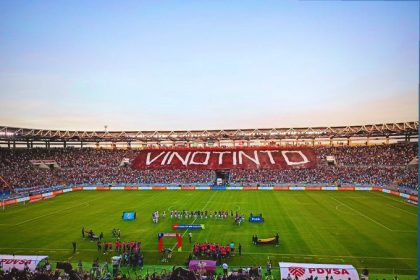 Vinotinto