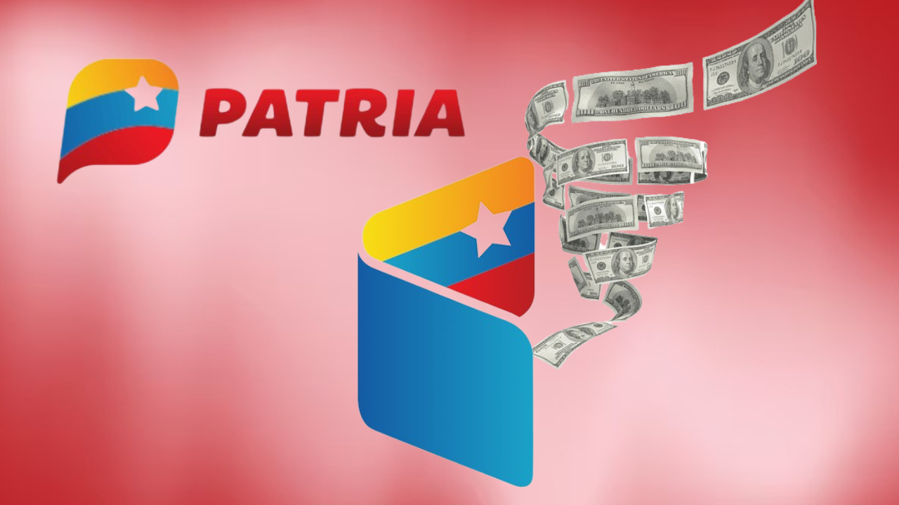 Plata al monedero PATRIA