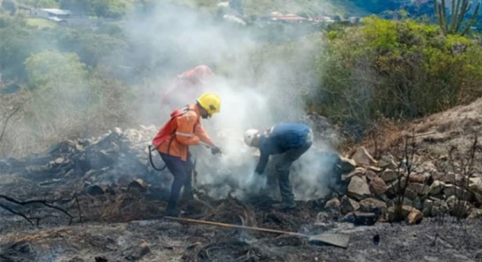 Más de 100 hectáreas destruidas tras los incendios en Táchira