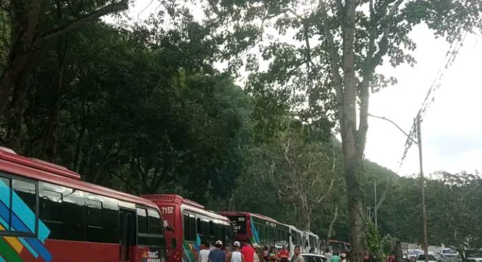 Balance positivo en servicio para Transmonagas durante el 2023