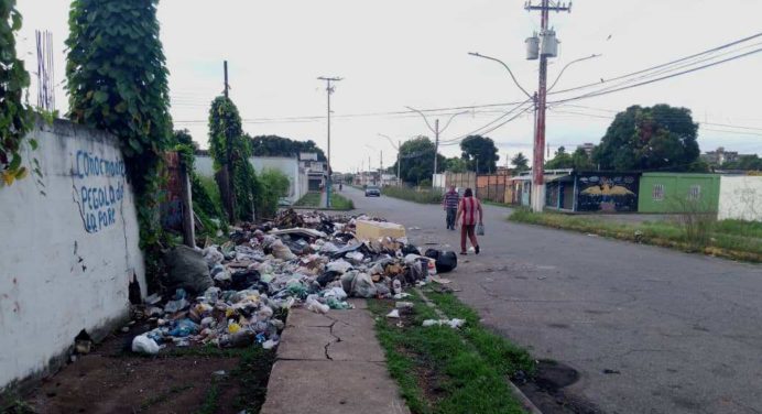 Sector 23 de Enero sumido entre la basura en pleno aniversario por la democracia