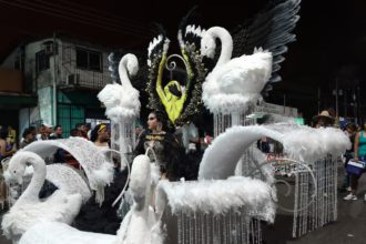 carroza carnaval zamora