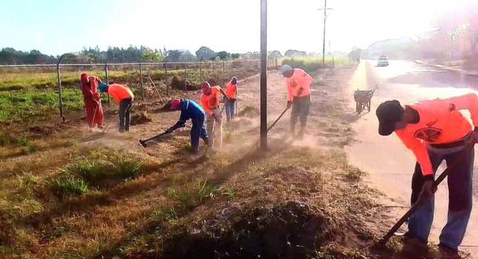 Embellecen principales vías y sectores del municipio Zamora