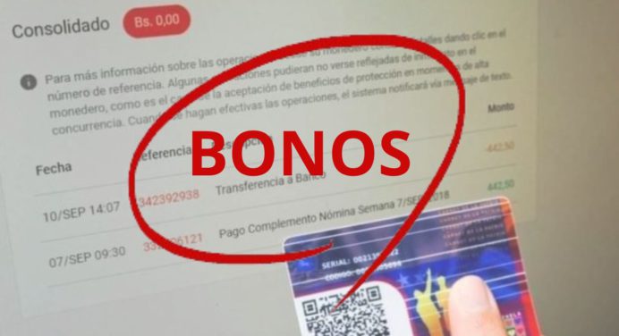 Estos son los últimos BONOS PATRIA activos para estos 4 días de febrero
