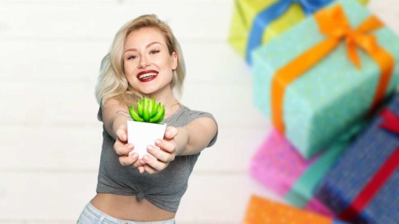 El significado de recibir un cactus como regalo