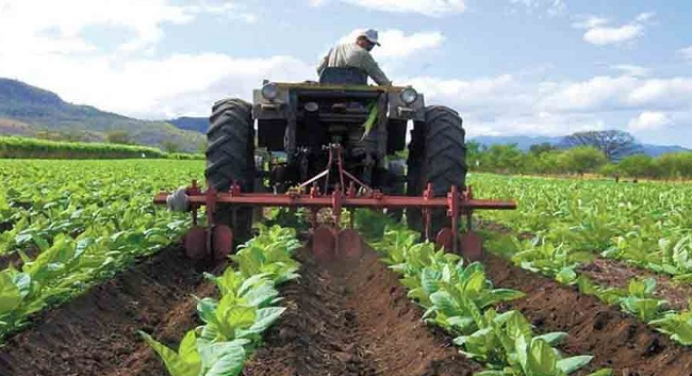 Fedeagro considera que el diésel importado a “precios exorbitantes” impacta al sector agrícola