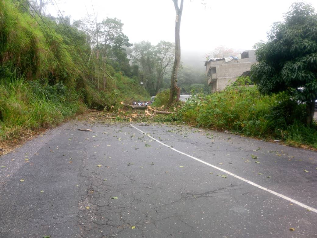 Lluvias intensas siguen