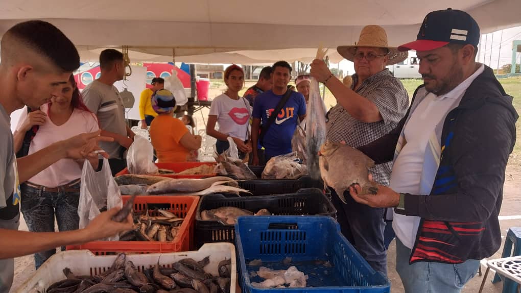 inicio el plan venezuela come pescado en monagas laverdaddemonagas.com pescado2
