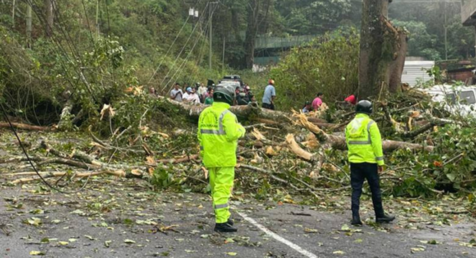Lluvias intensas siguen impactando a varios estados del país