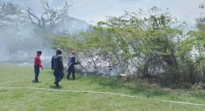 Más de 80 incendios forestales se han generado en Monagas este mes