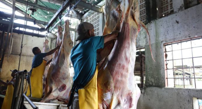 Procesaron más de 490 toneladas de carne en el matadero de Maturín