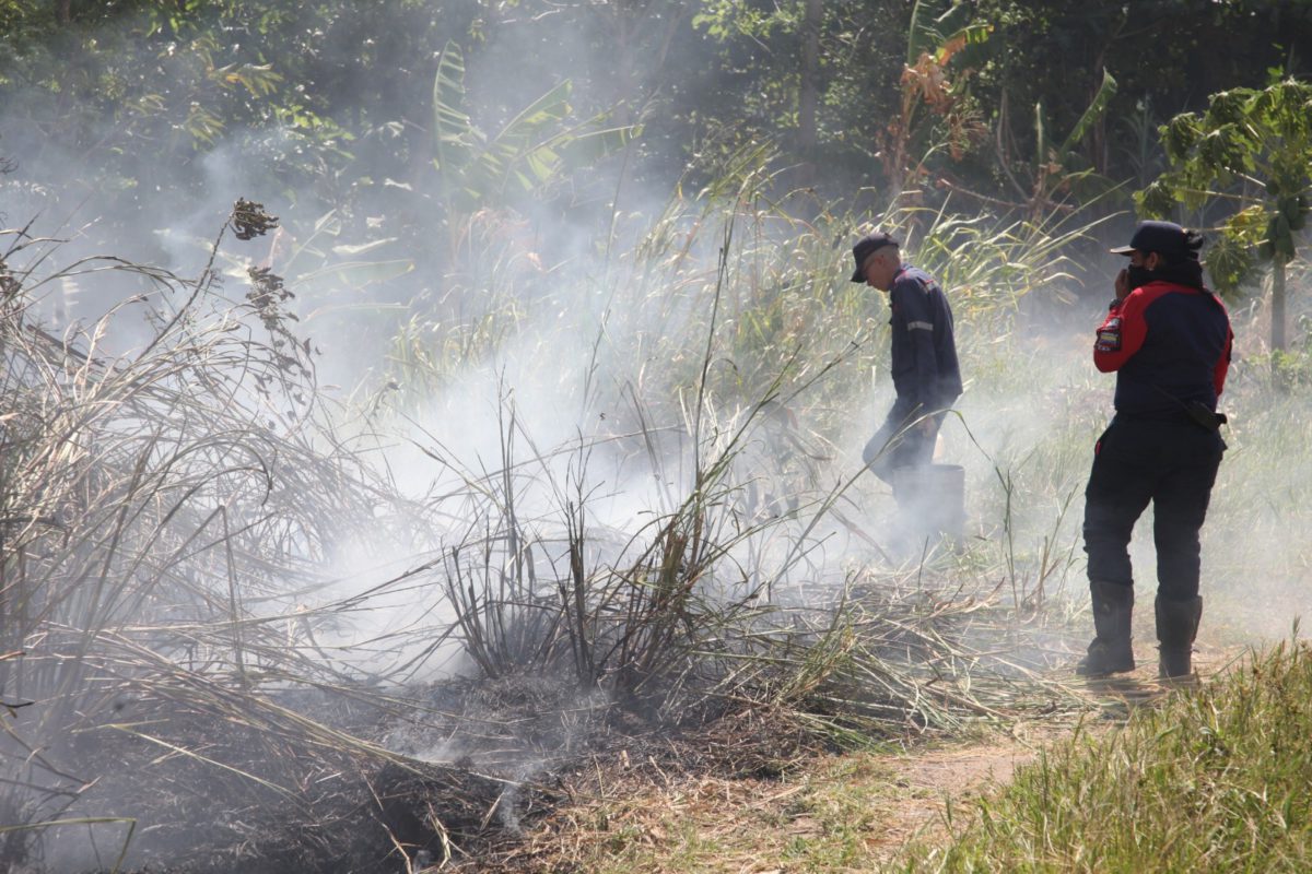 activaran brigadas contra incendios forestales en el sur de monagas laverdaddemonagas.com incendios 2 1