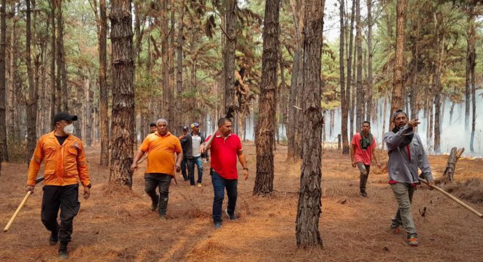 Alcalde de Sotillo atiende contingencia por incendios en Uverito