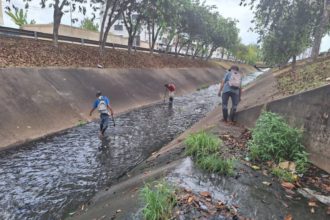 caño Orinoco