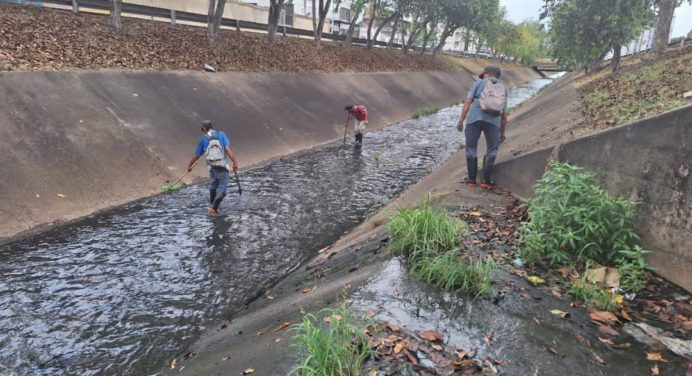 Alcaldía de Maturín realiza saneamiento del caño Orinoco