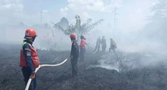 Alcaldía penalizará con multas a quienes quemen basura