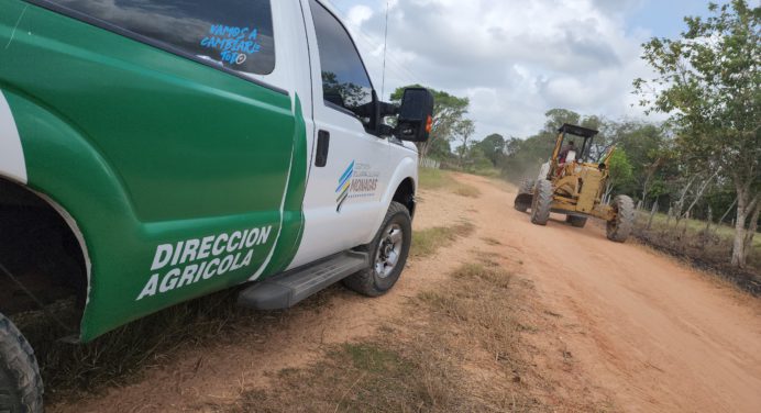 Ernesto Luna rehabilita vía de acceso agrícola en Altamira