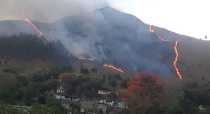 Más de 45 efectivos combaten incendio en cerro El Espejo de Caripe