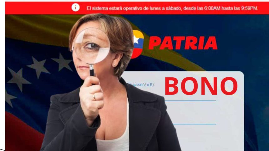 estos bonos patria