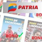 los bonos patria