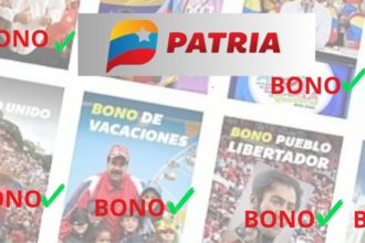 los bonos patria