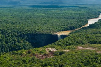 defensa del Esequibo