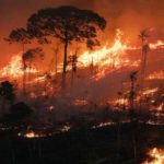 incendios de la Amazonía