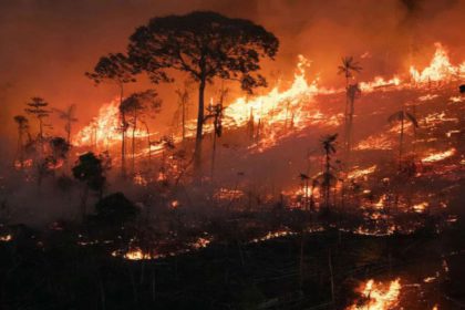 incendios de la Amazonía