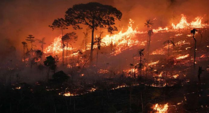 Aumento del 61 % en los incendios de la Amazonía brasileña en marzo