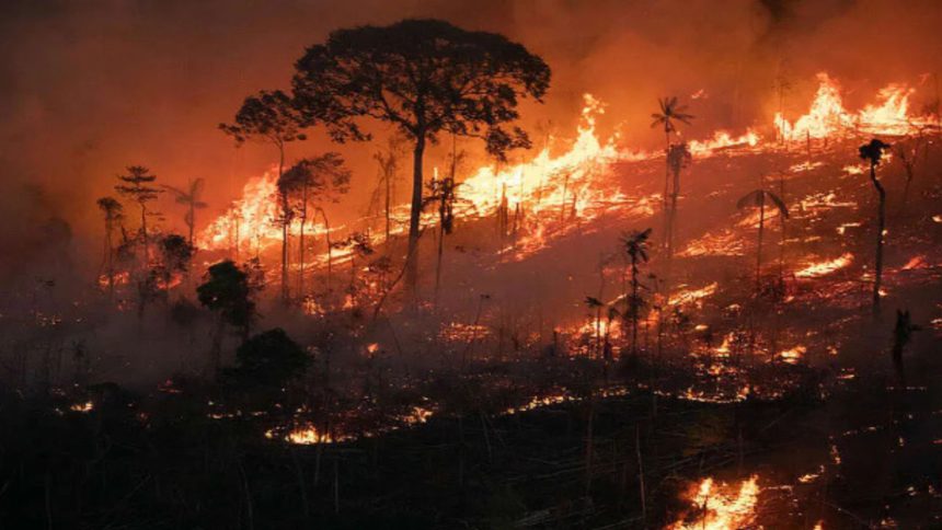 incendios de la Amazonía