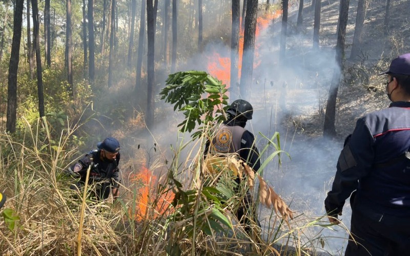 incendios forestales en Falcón