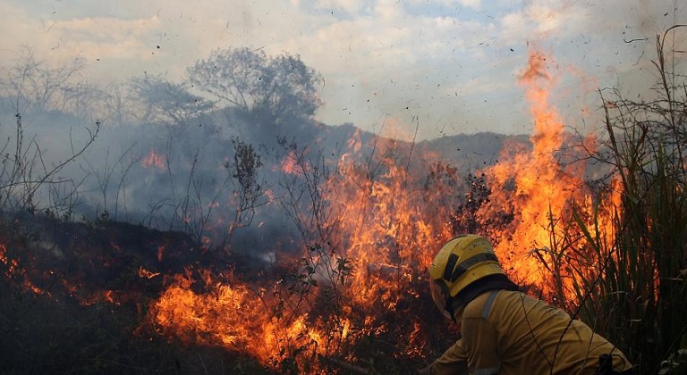 incendios forestales en Falcón