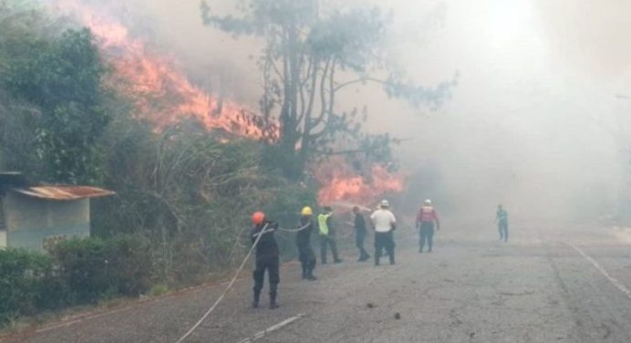 Despliegan equipo de bomberos ante reportes de incendios forestales en Falcón