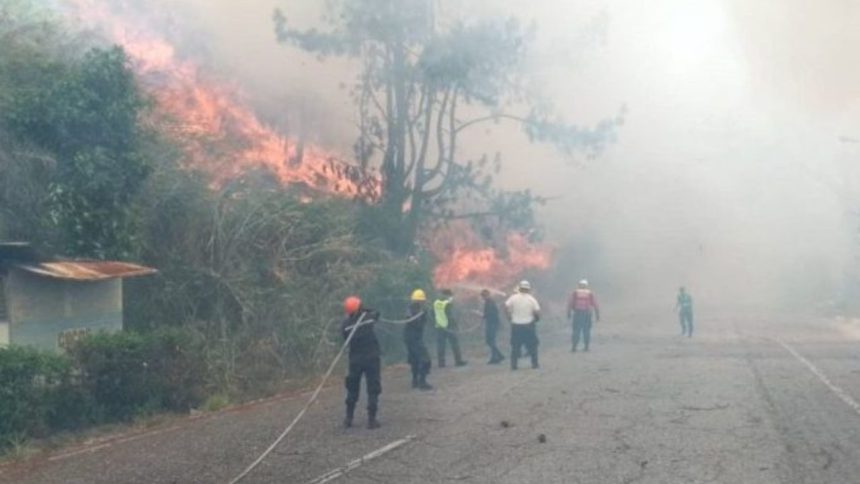 incendios forestales en Falcón