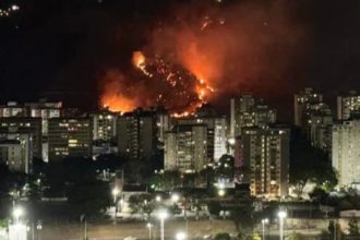 los incendios forestales