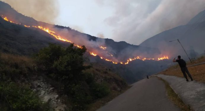 Más de 60 mil hectáreas afectadas por 3 mil incendios en el país