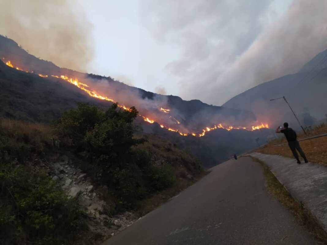 Más de 60 mil hectáreas afectadas por unos tres mil incendios en el país