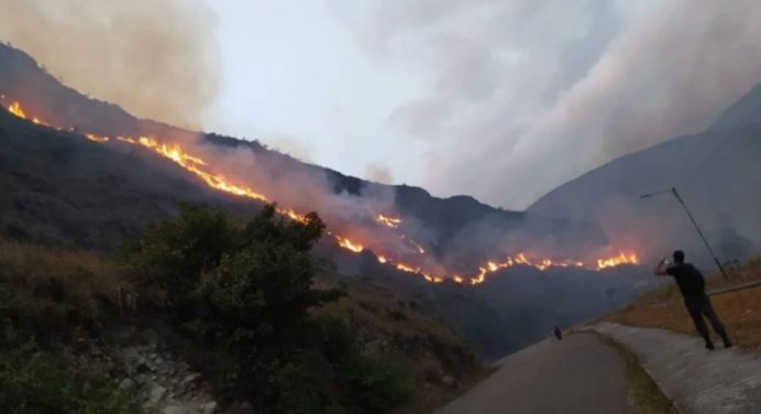 Más de 60 mil hectáreas afectadas por unos tres mil incendios en el país