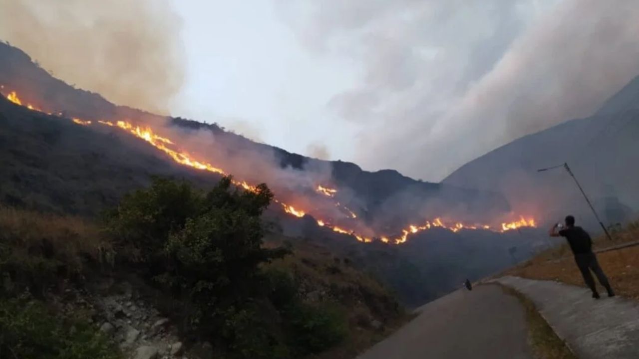 Más de 60 mil hectáreas afectadas por unos tres mil incendios en el país