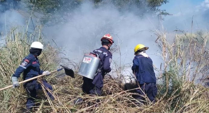 Mérida contó con 290 incidentes de fuego en los últimos días