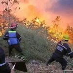 incendios forestales en