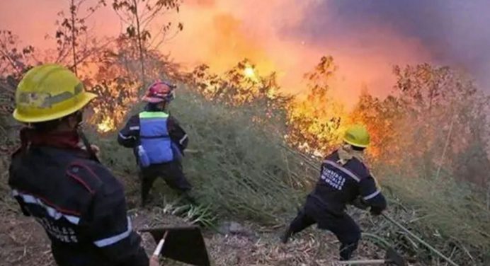 Venezuela registró más de 40 incendios forestales en menos de una semana