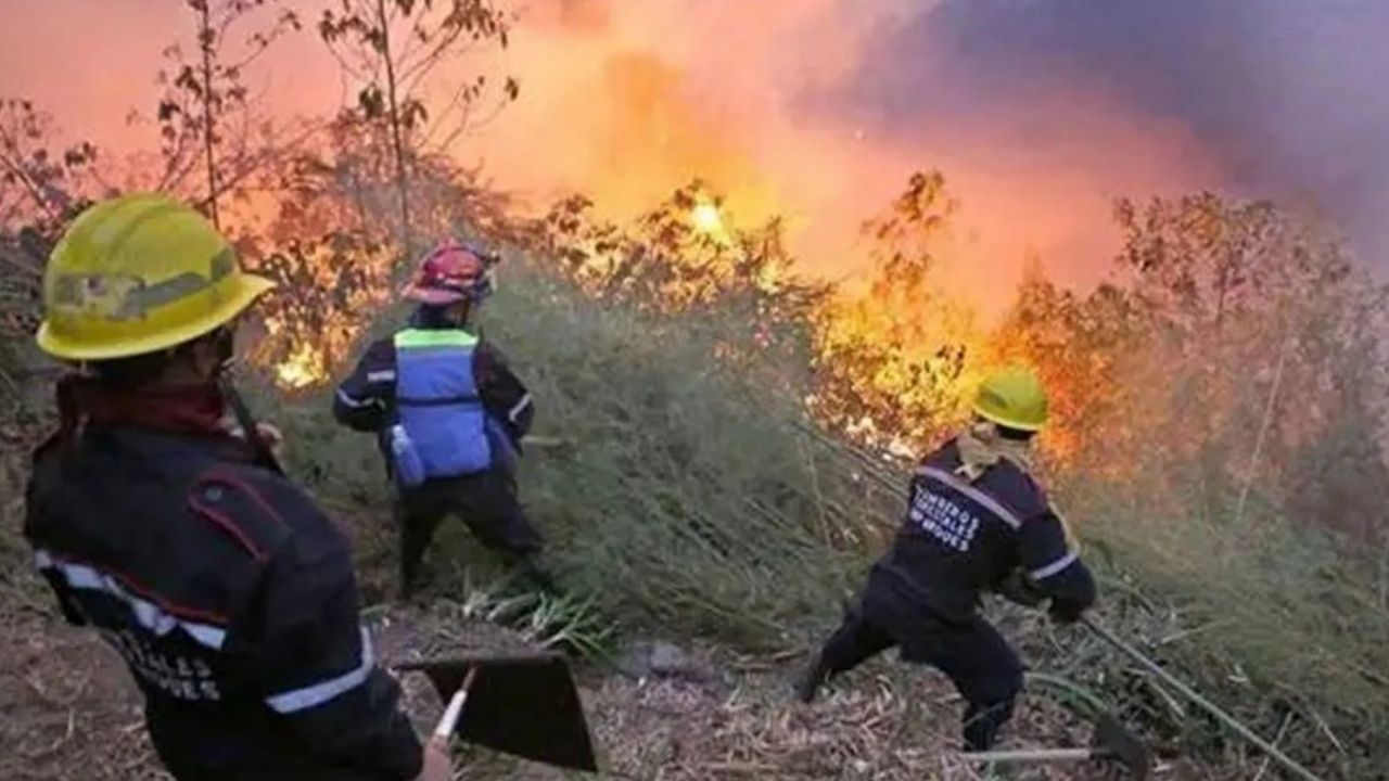 incendios forestales en